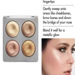 Professional 4 IN 1 BLUSHER & HIGHLIGHTER.
