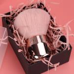 Mushroom Multi Purpose Brush Makeup | Cosmetic Brush, Small Efficient Soft Bristles Nail Art Dust Brush(1 Piece).