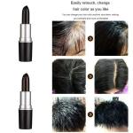Lipstick Shape Hair Color Dyeing Pen Hair Pure Hair Color (black color)