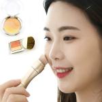 Mini 4 In 1 Makeup Brush Set 1 Pcs