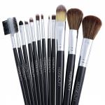 Makeup Brush Collection (Pack of 12)