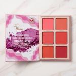 Professional All in one 5 in 1 Makeup Book Kit