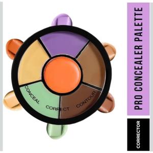 PRO CONCEALER PALETTE 1 Pcs