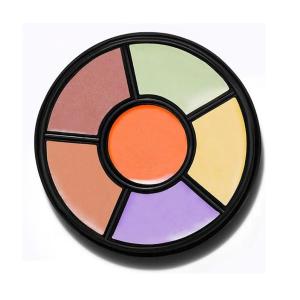 CONCEALER PALETTE(6 COLOR)