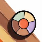CONCEALER PALETTE(6 COLOR)