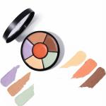 CONCEALER PALETTE(6 COLOR)