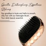 Detangling Hair Comb Brush, Detangler Hair Brush Use in Wet and Dry Hair (Pack of 1).