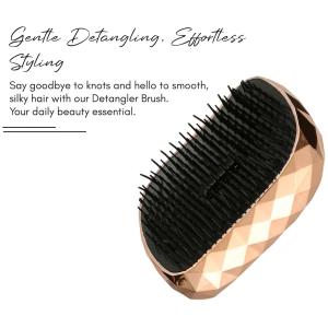 Detangling Hair Comb Brush, Detangler Hair Brush Use in Wet and Dry Hair (Pack of 1).