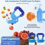 Baby Fruit Feeder for 3 to 12 Months,(Multicolour) 1 Piece.