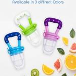 Baby Fruit Feeder for 3 to 12 Months,(Green) 1 Piece.