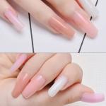 Poly Nail Gel Nail Forms Nail Extension Tips Guide Paper( 100 Sticker Roll) Pack of 1