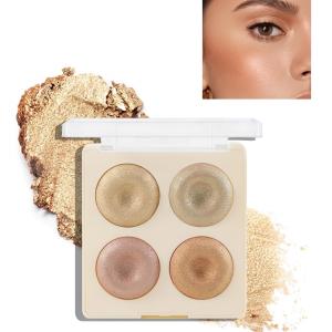 Professional 4 IN 1 BLUSHER & HIGHLIGHTER.