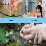 flower soap Paper Soap Strips for Travel (Pack of 2)