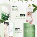 Professional Facial Mask Stick Green Tea (Pack Of 1)..