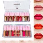 Lipstick Combo Pack Waterproof || Long Lasting | 10 Shades