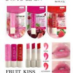 Lip Balm 24 Hours Moisturised Lips Pack of 1