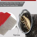 Flea Comb for Cat Dog, Stainless Steel Fine Tooth Flea Lice Tear Stain Remover Comb(2 Pcs).