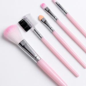 Mini 5 In 1 Makeup Mini Brushes Set for Women's & Girls (Pink).