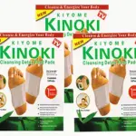 Cleansing Detox Foot Pads Toxins Stress Relief Pain Free Foot Pads for Release Body 1 Pack