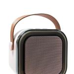 Bluetooth Portable Karaoke mic and speaker set for kids, birthday gifts 1 Pcs