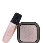 Bluetooth Portable Karaoke mic and speaker set for kids, birthday gifts 1 Pcs