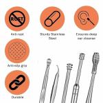 6 Pcs Ear Wax Cleane Ear Cleansing Tool Set, with a Storage Box (Silver, 6pcs)