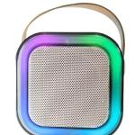 Bluetooth Portable Karaoke mic and speaker set for kids, birthday gifts 1 Pcs