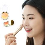 Mini 4 In 1 Makeup Brush Set 1 Pcs