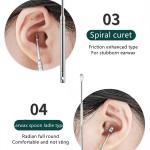 6 Pcs Ear Wax Cleane Ear Cleansing Tool Set, with a Storage Box (Silver, 6pcs)