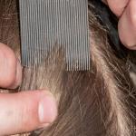 Comb for Head Lice, Nit & Egg Removal with Long Fine Metal Teeth (Multicolor) Plastic Handle Brush