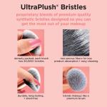 Face Makeup Brush Set For Makeup (Pack of 1)