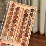 Professional 34 color Eye Shadow Mattes (Multicolor)