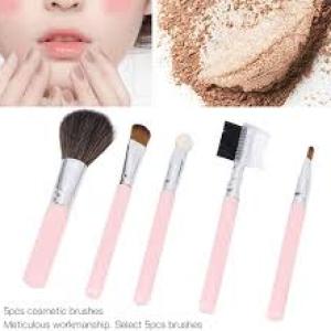 Mini 5 In 1 Makeup Mini Brushes Set for Women's & Girls (Pink).