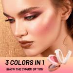 Professional Long Lasting Waterproof 3in1 Makeup Blusher & Highlighter For Girls & Women Pack of 1