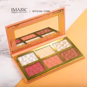 6 COLOR HIGHLIGHT,BLUSH AND CONTOUR PALETTE 24.g