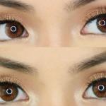Eyelash 5D Mink Hair ( Pack of 1)