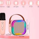 Mic with Speaker Ideal for Travel, Parties, Play, and Fun (Pack of 1)