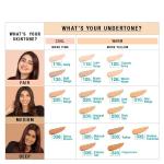 115 Matte + Pore less Foundation (Pack of 1)