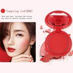 PROFESSIONAL BEST BLUSHER (PACK OF 1)