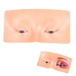 Makeup Practice Face Board (Pack of 1)