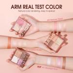 4 Shade Highlighter and Blusher Palette (Pack of 1)