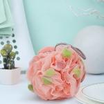 Sponge – Premium Round Loofah Body Wash Puff and Shower Scrubber (Pack of 1)