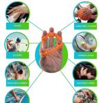 Finger Stretcher Resistance Band Hand Grip/Fitness Grip (Pack of 6)