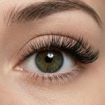Premium Black 3D Eyelash Set, For Parlour, 1 Pair